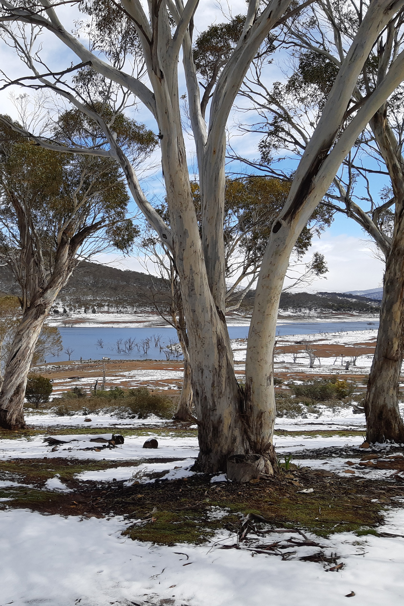 Alpine Garden Chalet